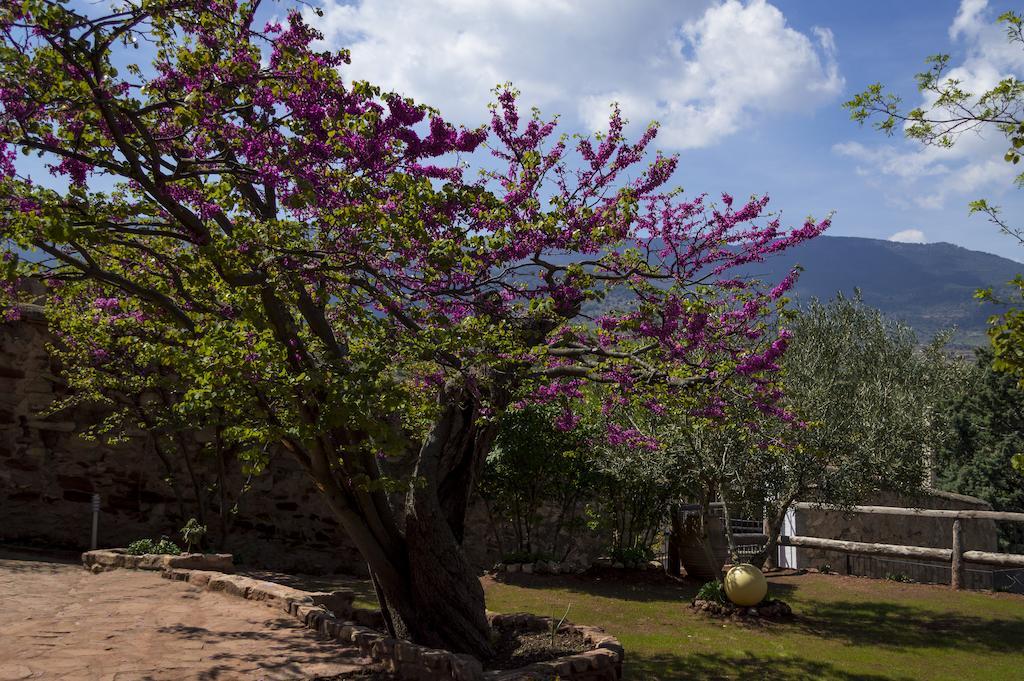 Casa Rural Los Lilos Gotor 客房 照片