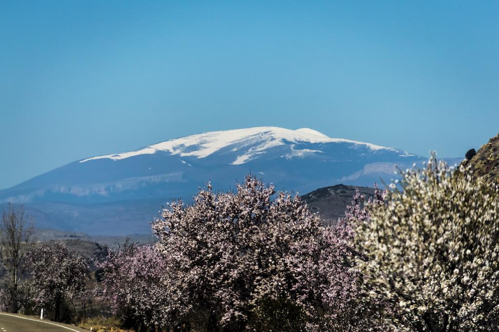 Casa Rural Los Lilos Gotor 客房 照片