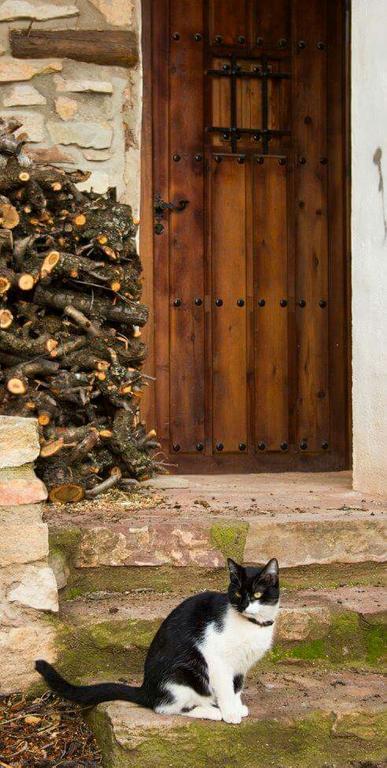 Casa Rural Los Lilos Gotor 外观 照片
