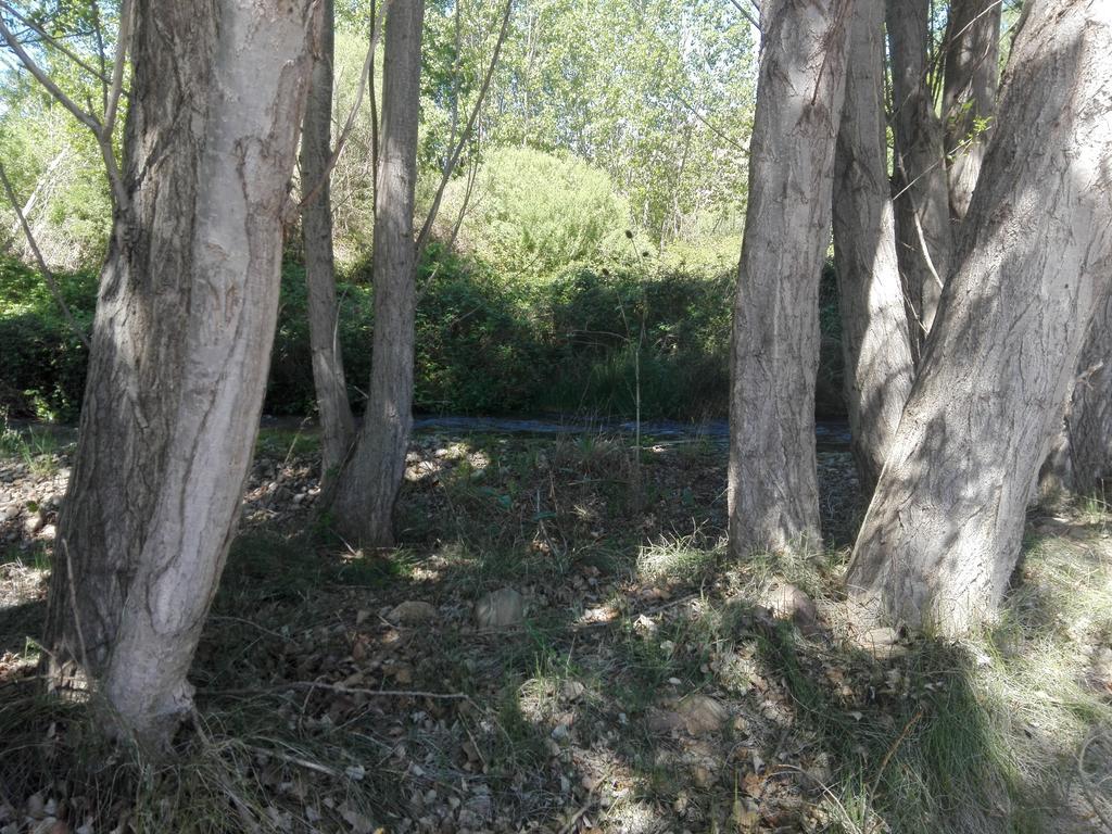Casa Rural Los Lilos Gotor 外观 照片